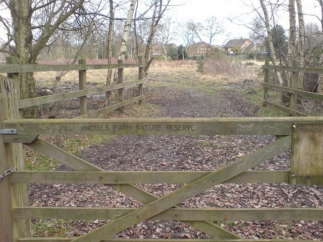 Photograph accompanying Levin Down: visitor information